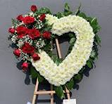 Delaney Murray, Lyons NY Death- Died In Tragic Accident